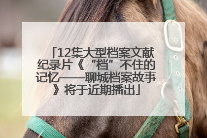 12集大型档案文献纪录片《“档”不住的记忆——聊城档案故事》将于近期播出