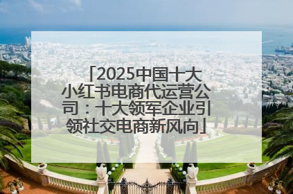 2025中国十大小红书电商代运营公司：十大领军企业引领社交电商新风向