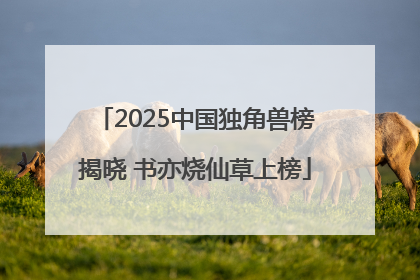 2025中国独角兽榜揭晓 书亦烧仙草上榜