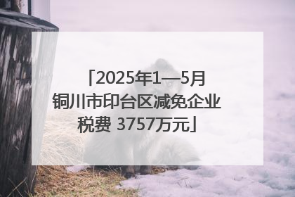 2025年1—5月铜川市印台区减免企业税费 3757万元