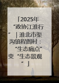 2025年“政协江淮行”｜淮北市渠沟镇程阁村：“生态痛点”变“生态景观”