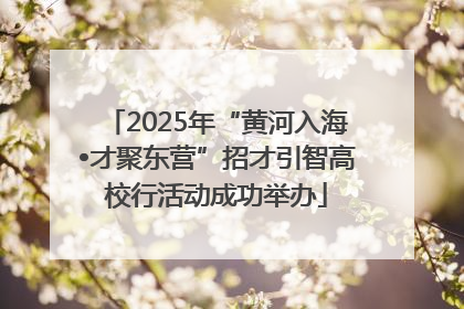 2025年“黄河入海•才聚东营”招才引智高校行活动成功举办