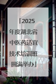 2025年度湖北省中医药适宜技术培训班圆满举办