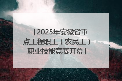 2025年安徽省重点工程职工(农民工)职业技能竞赛开幕