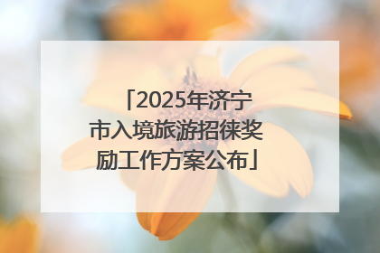 2025年济宁市入境旅游招徕奖励工作方案公布