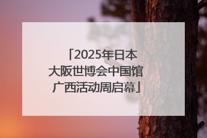 2025年日本大阪世博会中国馆广西活动周启幕