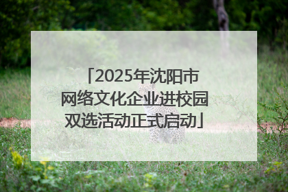 2025年沈阳市网络文化企业进校园双选活动正式启动