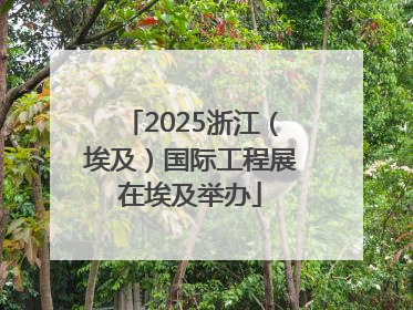 2025浙江（埃及）国际工程展在埃及举办