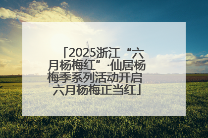 2025浙江“六月杨梅红”·仙居杨梅季系列活动开启 六月杨梅正当红