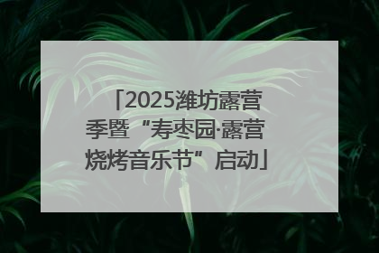2025潍坊露营季暨“寿枣园·露营烧烤音乐节”启动