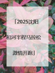 2025沈阳和河半程马拉松激情开跑