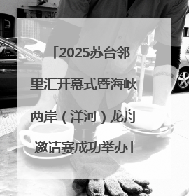 2025苏台邻里汇开幕式暨海峡两岸（洋河）龙舟邀请赛成功举办