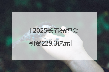 2025长春光博会引资229.3亿元