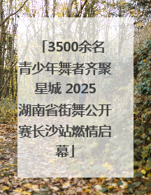 3500余名青少年舞者齐聚星城 2025湖南省街舞公开赛长沙站燃情启幕