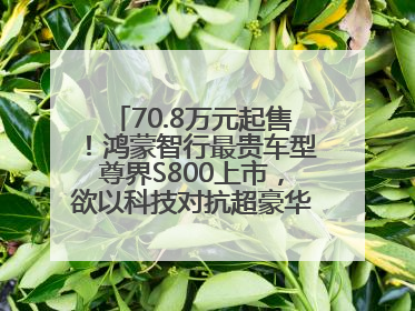 70.8万元起售！鸿蒙智行最贵车型尊界S800上市，欲以科技对抗超豪华品牌，余承东发布会未提及迈巴赫