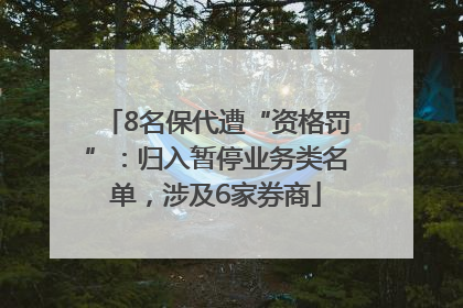 8名保代遭“资格罚”：归入暂停业务类名单，涉及6家券商