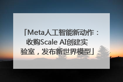Meta人工智能新动作：收购Scale AI创建实验室，发布新世界模型