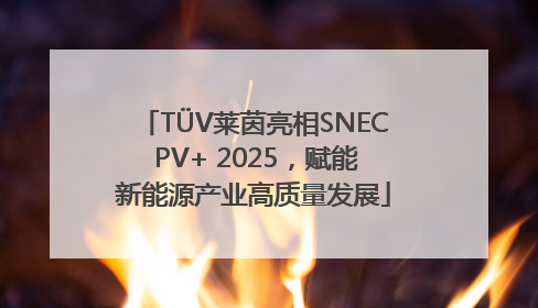 TÜV莱茵亮相SNEC PV+ 2025，赋能新能源产业高质量发展